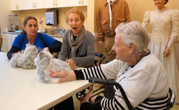 Un congreso internacional abordará en Jaén el reto de la vejez y la soledad