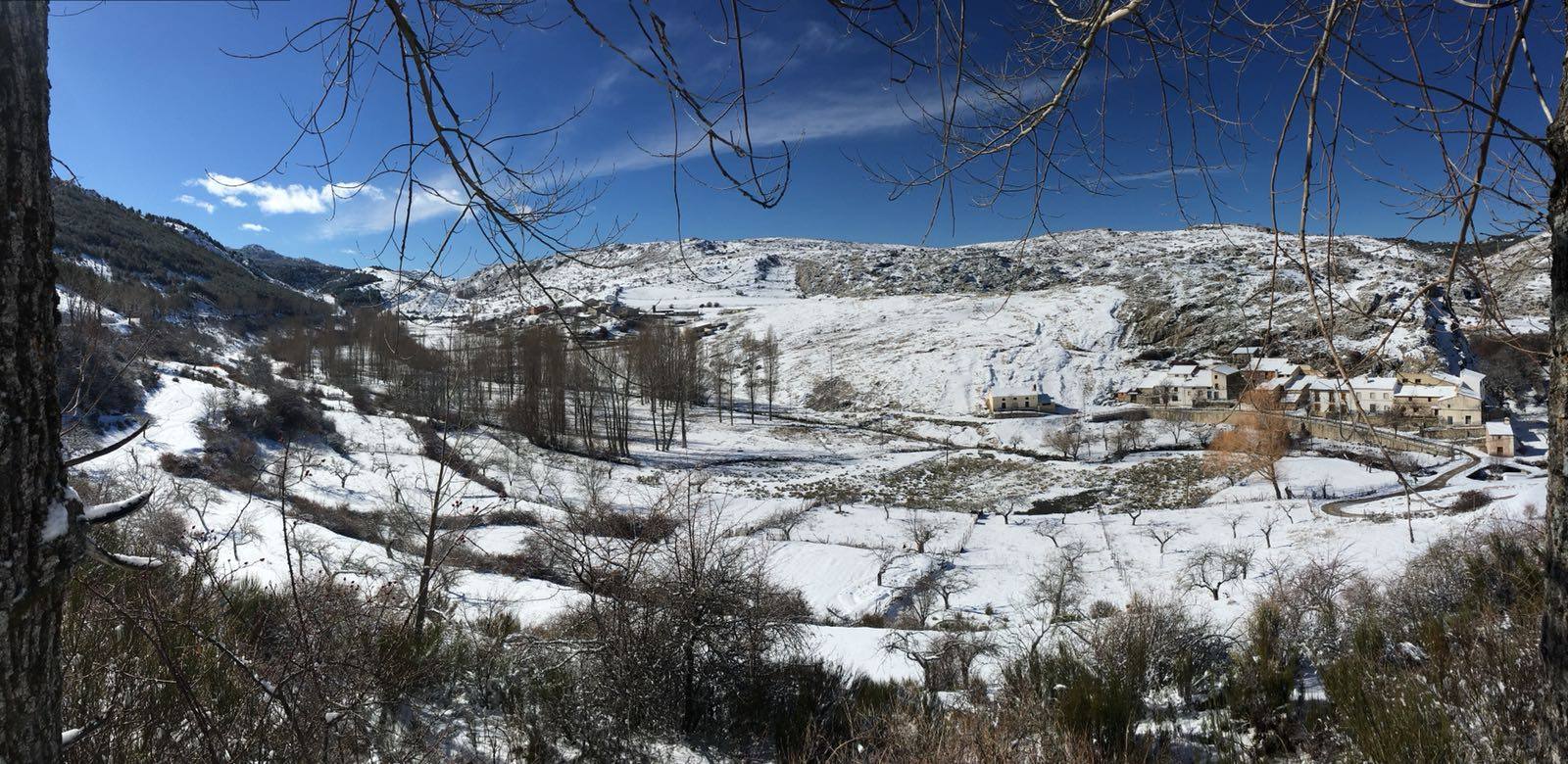 Los camiones tuvieron que quedarse inmovilizados para evitar el paso por Puerto Carretero