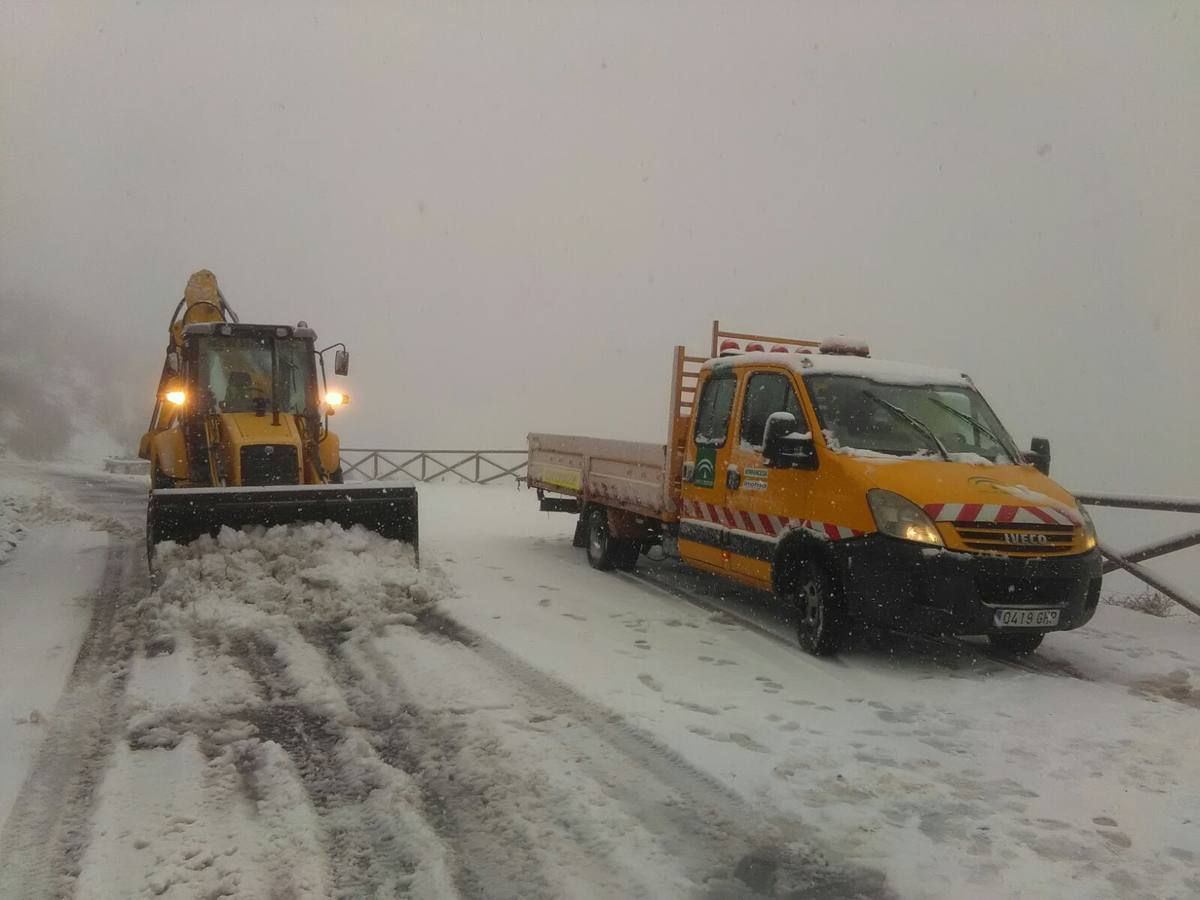 Los camiones tuvieron que quedarse inmovilizados para evitar el paso por Puerto Carretero