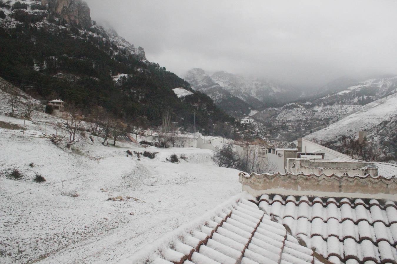 Los camiones tuvieron que quedarse inmovilizados para evitar el paso por Puerto Carretero