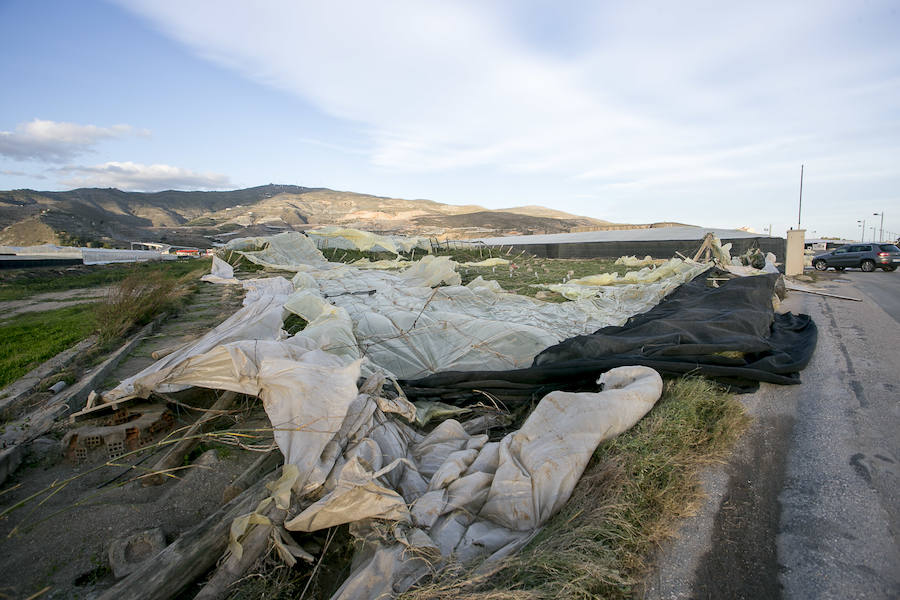 Daños provocados por el fuerte temporal que arrasó con algunos invernaderos de la Costa de Granada