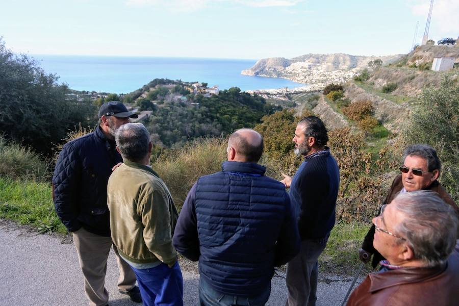 Los agricultores reclaman medidas extraordinarias como la recarga del acuífero para salvar las 4.800 hectáreas de subtropicales sexitanas