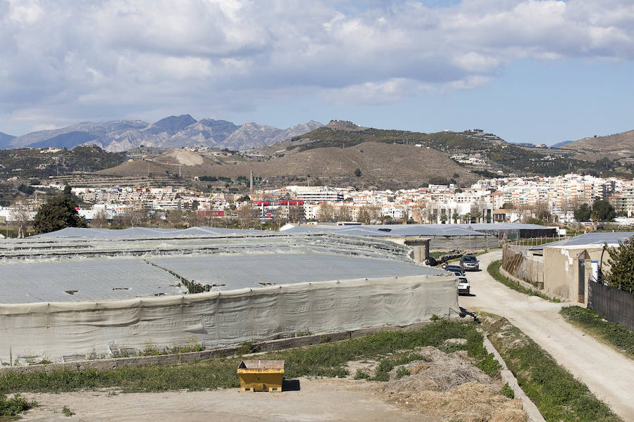 En Motril unas 200 hectáreas no tendrán ventajas para modernizarse