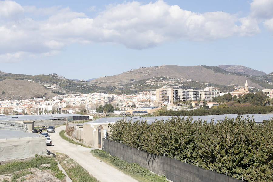 En Motril unas 200 hectáreas no tendrán ventajas para modernizarse