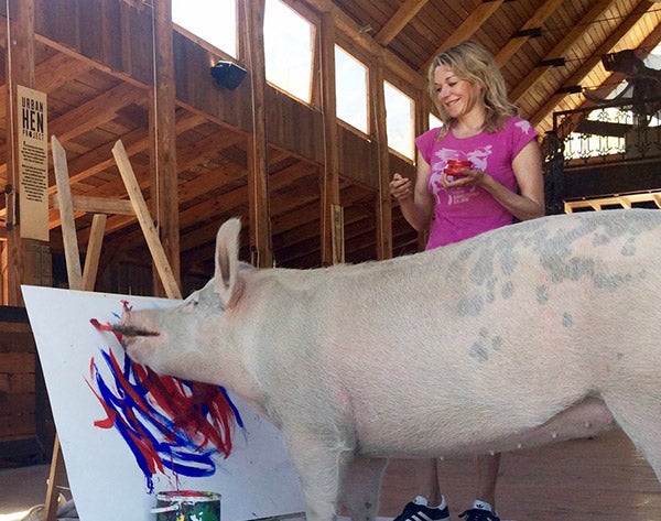 El animal rescatado de una granja industrial acude inaugura su exposición 'Oink!' y cuenta con su propia galería de arte