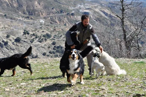 José Antonio Moreno, con algunos de sus 32 perros. 