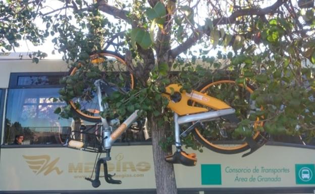 Las 3 medidas de oBike para frenar el vandalismo contra las bicis de alquiler tras lo ocurrido en Granada