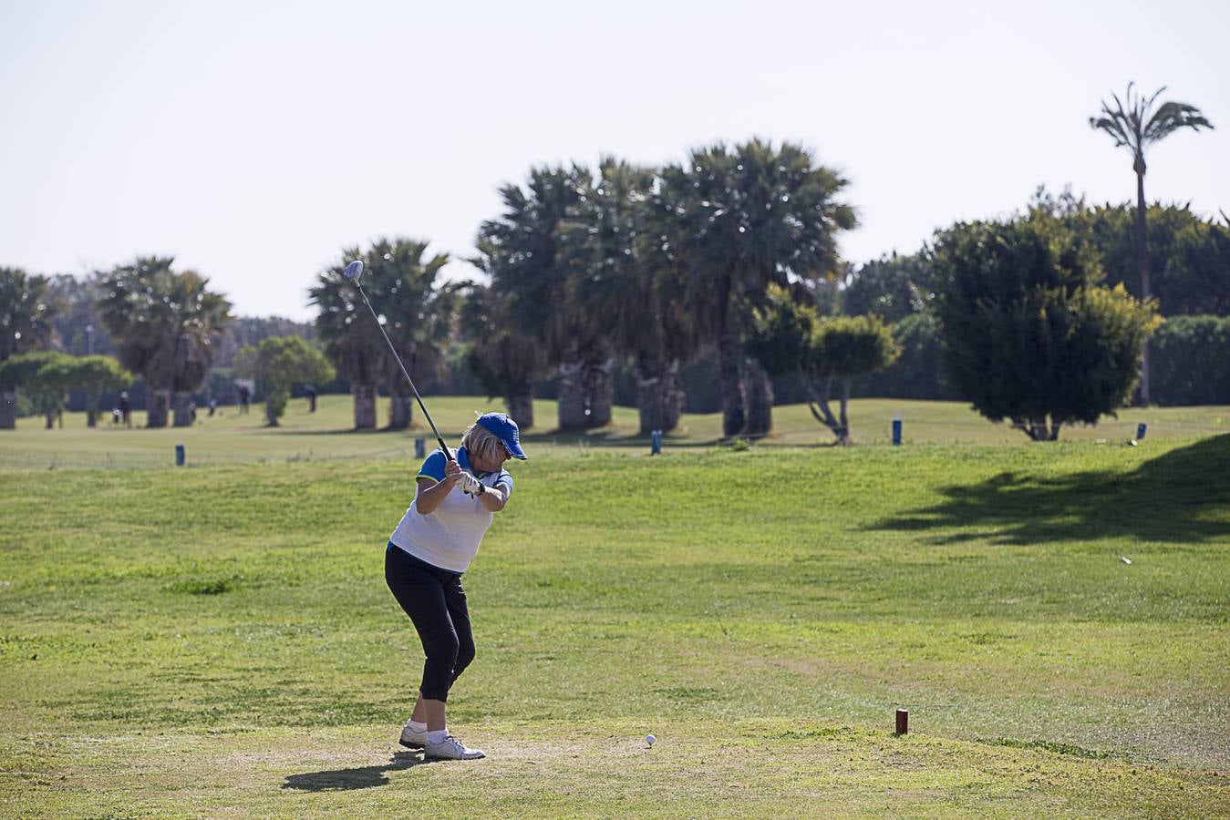 El Gobierno ha procedido a ejecutar el desahucio de parte de las instalaciones marcando las zonas que son de Patrimonio