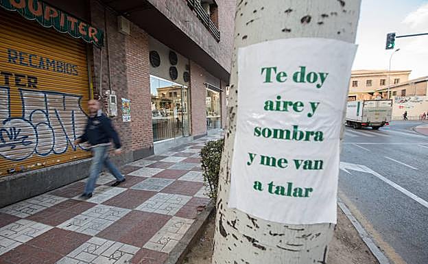 El Ayuntamiento contesta al acoso de la campaña antipoda y antitala