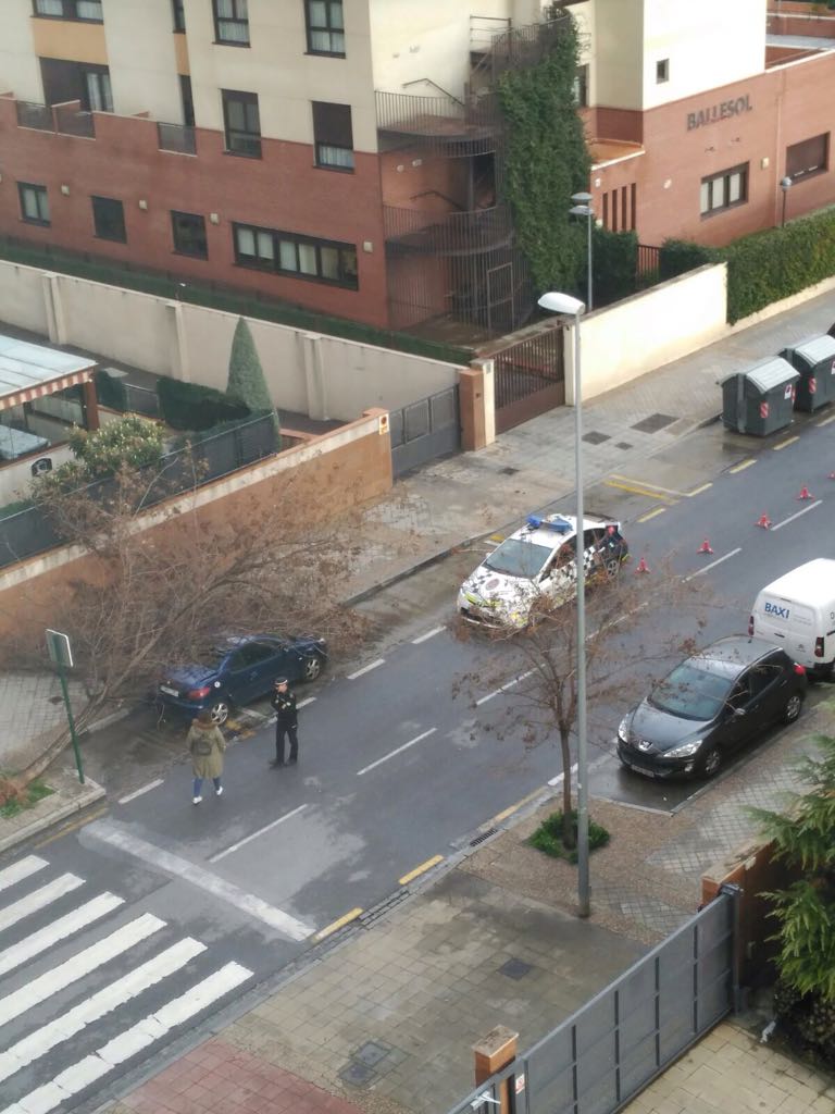 Árbol caído en la calle Jimena