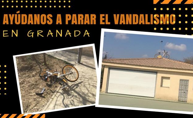 «Ayúdanos a parar el vandalismo en Granada»: la última barbaridad con una bicicleta de alquiler