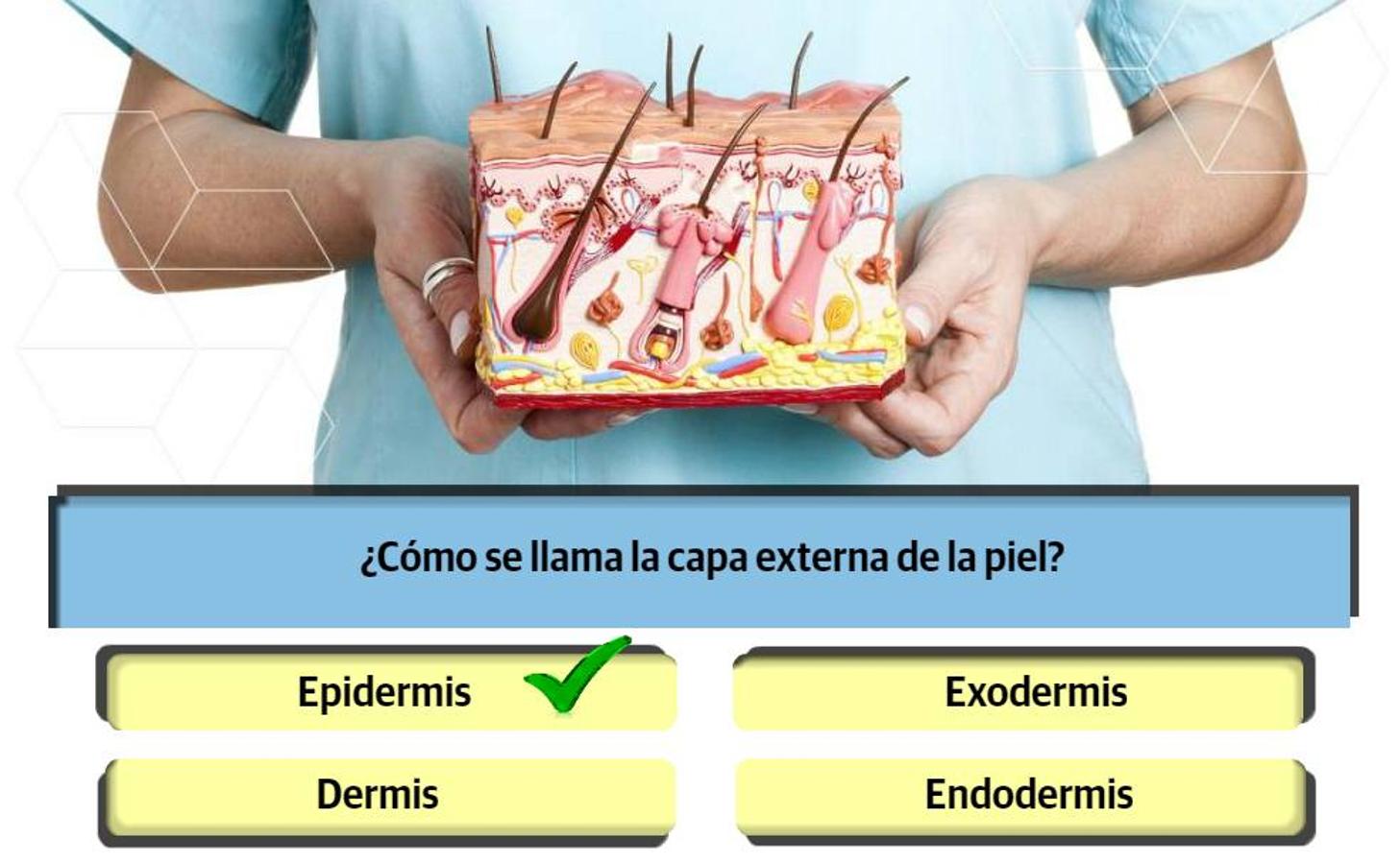 Resuelve al menos 10 de estas 13 preguntas para demostrar que aún te acuerdas de algo de lo que aprendiste