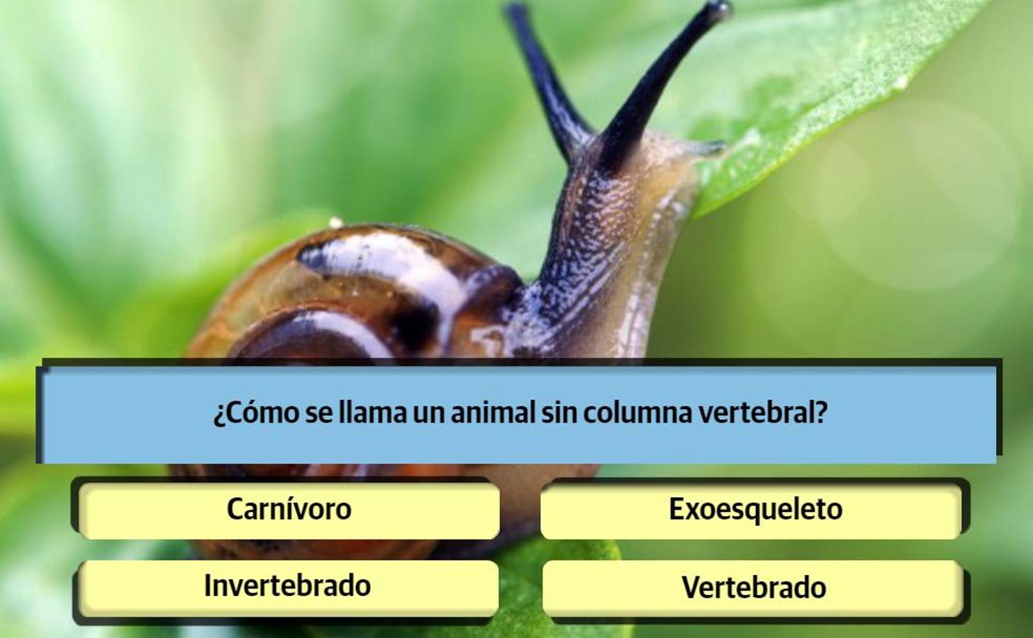 Resuelve al menos 10 de estas 13 preguntas para demostrar que aún te acuerdas de algo de lo que aprendiste