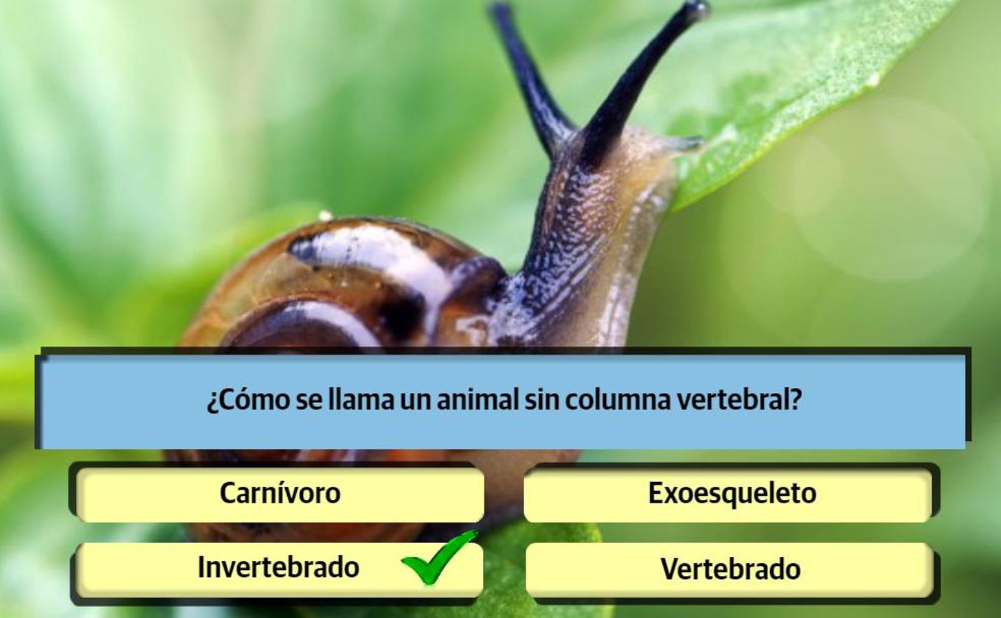 Resuelve al menos 10 de estas 13 preguntas para demostrar que aún te acuerdas de algo de lo que aprendiste
