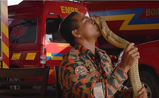 Un famoso 'domador de serpientes' muere por el mordisco de una cobra