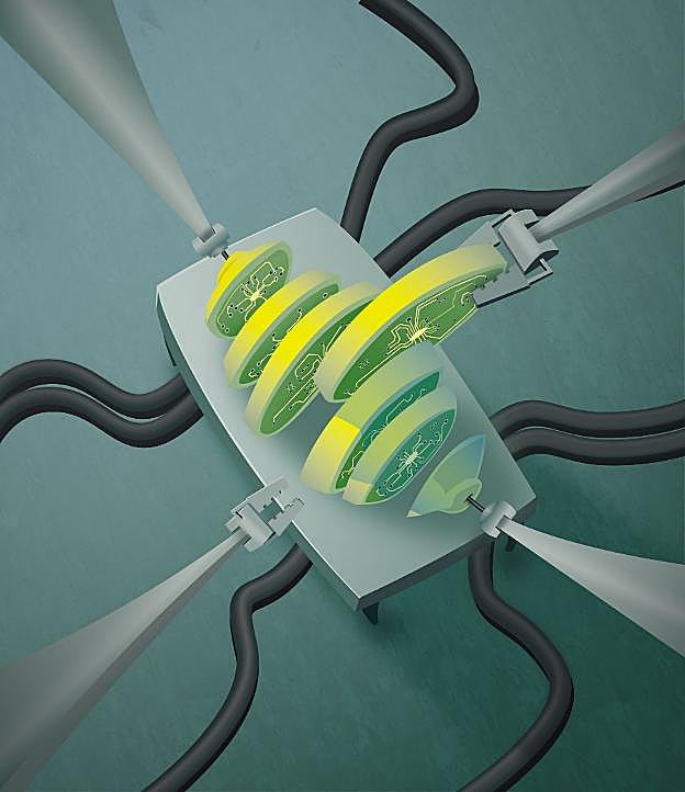 Los alimentos procesados incrementan el riesgo de cáncer