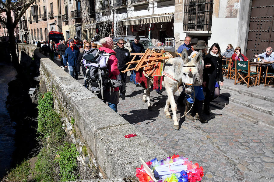 Los granadinos celebran el Día del Árbol con un paseo en recuerdo de los arrieros y reivindican el valor del viejo camino bajo la Alhambra