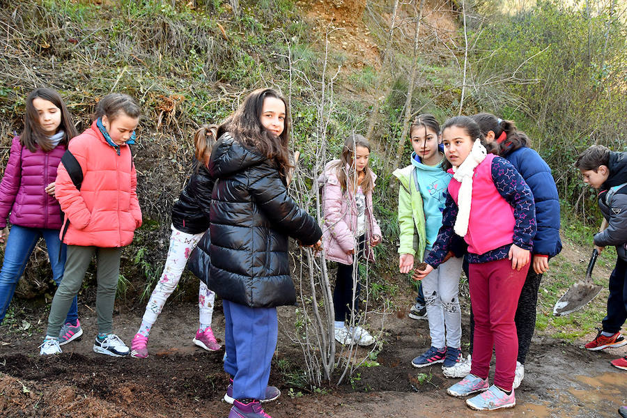 Los granadinos celebran el Día del Árbol con un paseo en recuerdo de los arrieros y reivindican el valor del viejo camino bajo la Alhambra