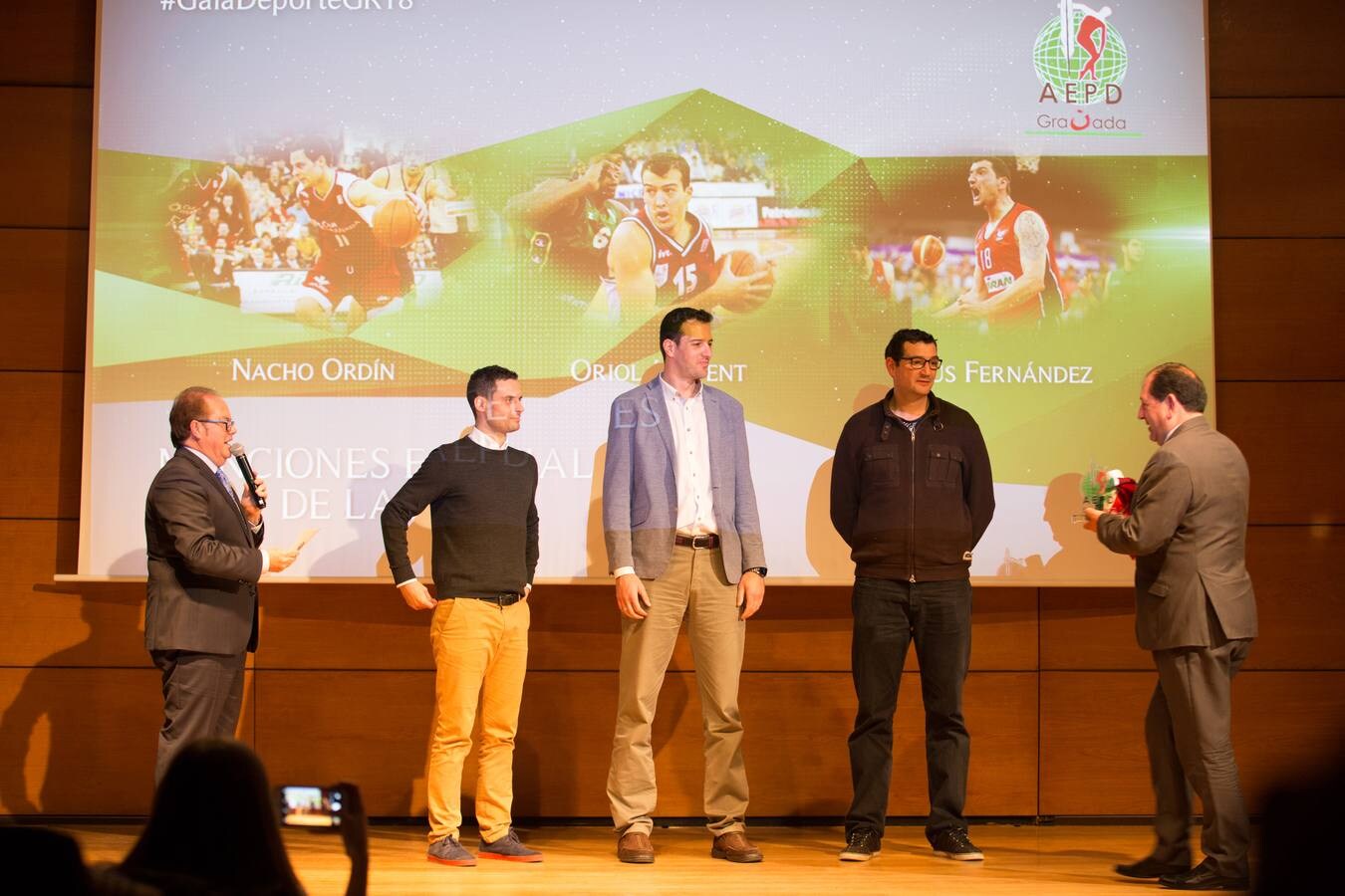 La Asociación Española de la Prensa Deportiva en Granada coronó anoche en el Auditorio de Caja Rural a los mejores atletas del 2017