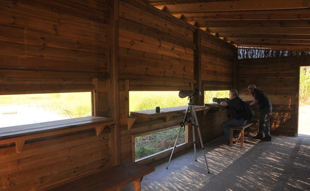 Un espacio preparado para ornitólogos con observatorios a pie de laguna