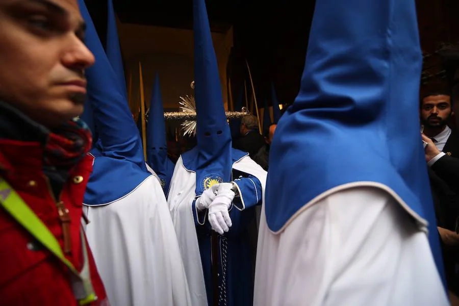 Borriquilla, Cautivo, Santa Centa, Maravilla y Despojado, hermandades de este Domingo de Ramos de Granada