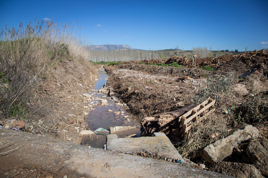 Hectáreas de Vega convertidas en un lodazal, 15 caminos casi intransitables, pérdidas millonarias... Es el rastro del temporal que persiste en Granada. 