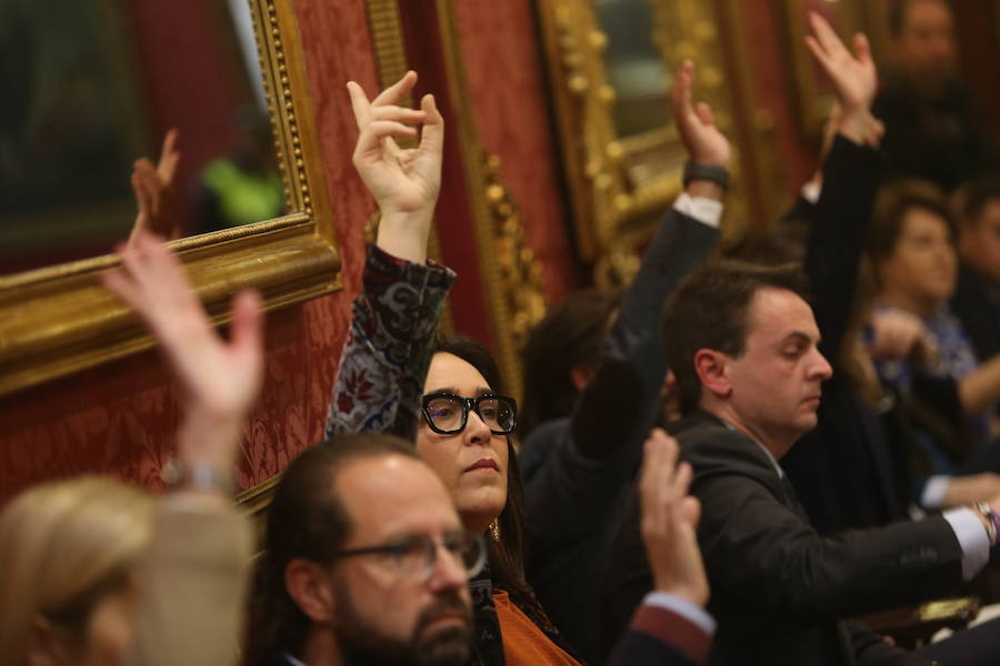 El Ayuntamiento de Granada celebra un pleno en el que se votará la personación de la administración municipal en el caso Emucesa, sobre posibles contrataciones irregulares en la empresa del cementerio.