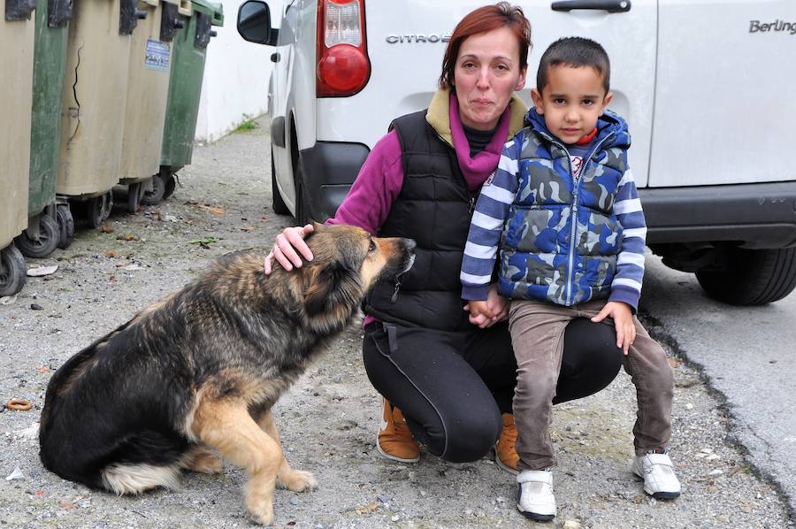 Lleva casi un mes con su nueva familia, es juguetona y está muy feliz