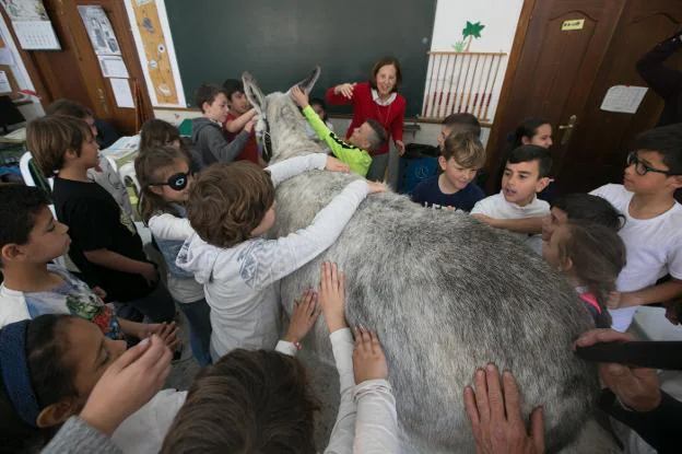 Los niños no dudaron en acariciar al animal y disfrutar de él en clase.