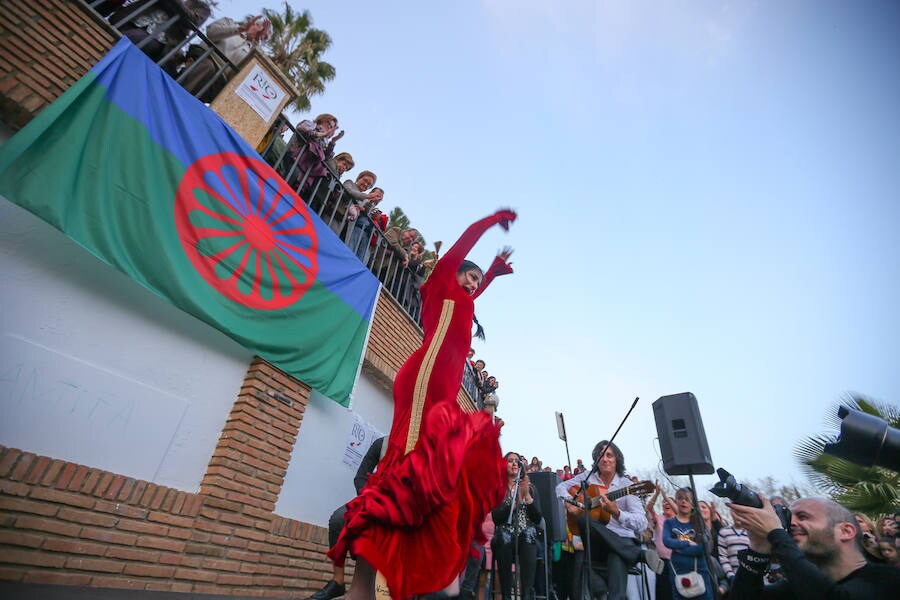 Exposiciones fotográficas, charlas y una campaña de sensibilización conforman el programa de una celebración a escala internacional