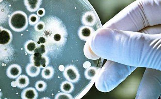 El objeto cotidiano con más bacterias que un váter: así tomas cientos de microbios al día