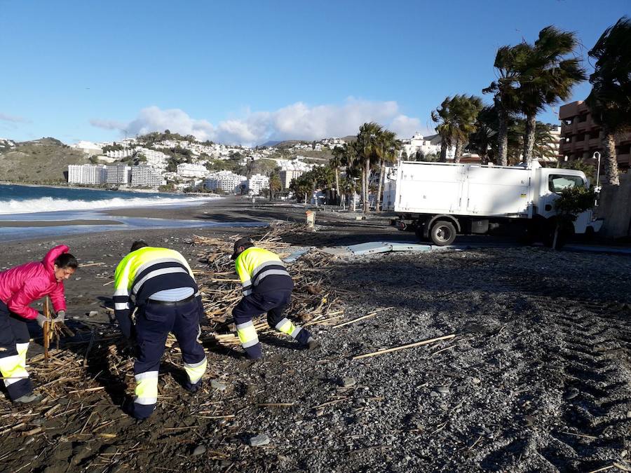 Después de retirar dos millones de kilos de residuos en el mes de marzo, las playas de Almuñécar vuelven a estar llenas de cañaveras por los temporales 