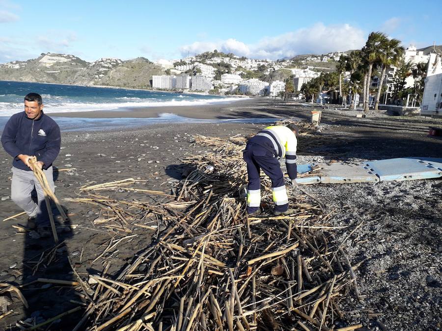 Operarios de limpieza trabajan ya en la retirada de cañaveras de las playas de Almuñécar. 