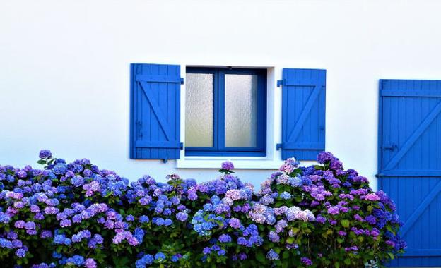 Un recorrido por Europa a través de sus flores