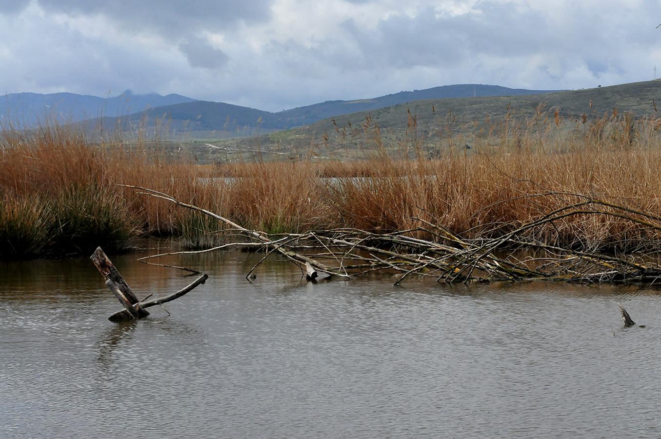 Las lluvias cambian la imagen de las lagunas de Padul al incrementar su nivel de agua a cotas que no se veían desde hace décadas. El Parque de Sierra Nevada, Ayuntamiento y Medio Ambiente, activan un plan para mejorar las infraestructuras y evitar futuros vertidos