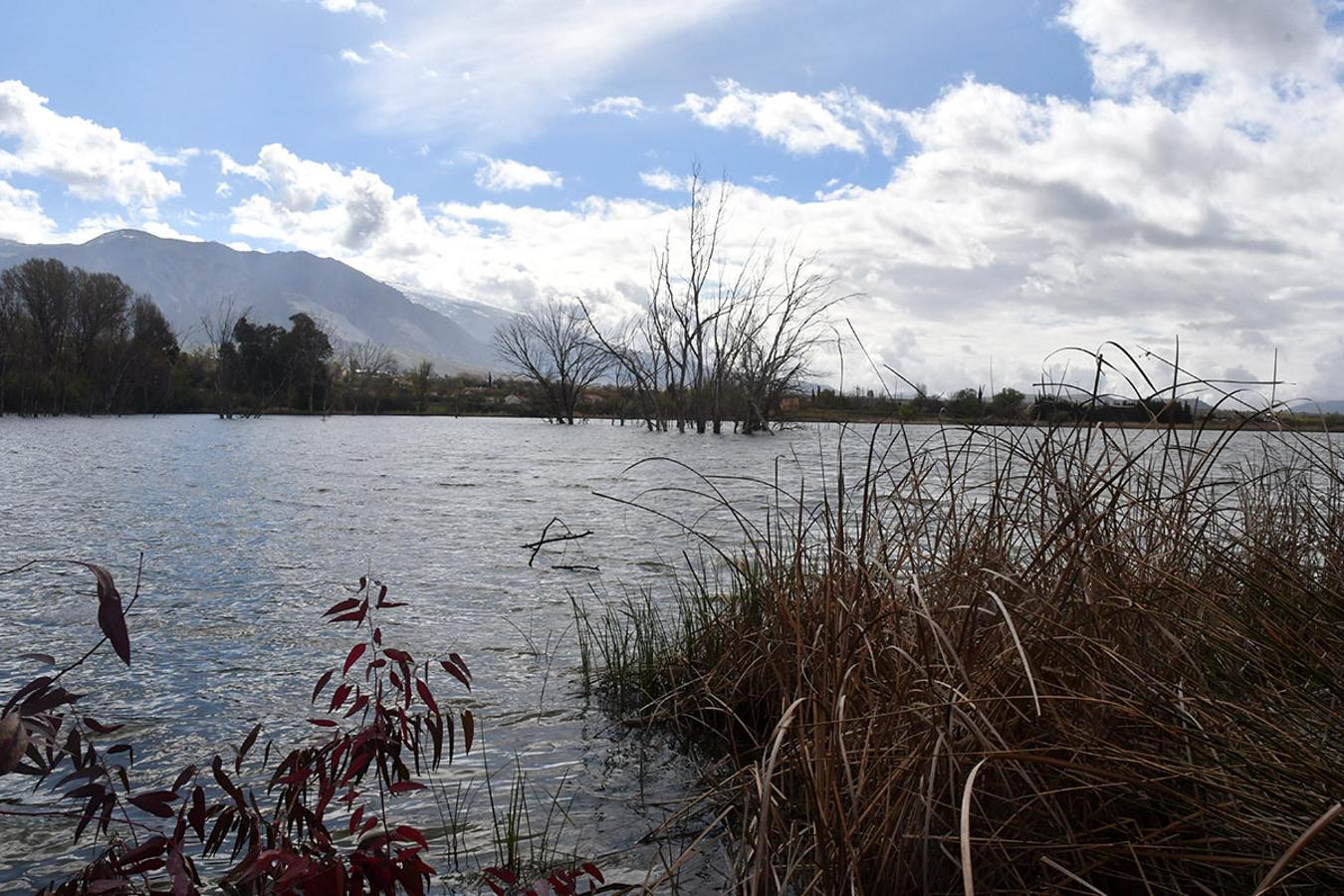 La laguna del Aguadero no tenía tanta agua desde hace décadas, a las lluvias se suma que hace varios años se eliminaron las desecaciones para extraer turba.