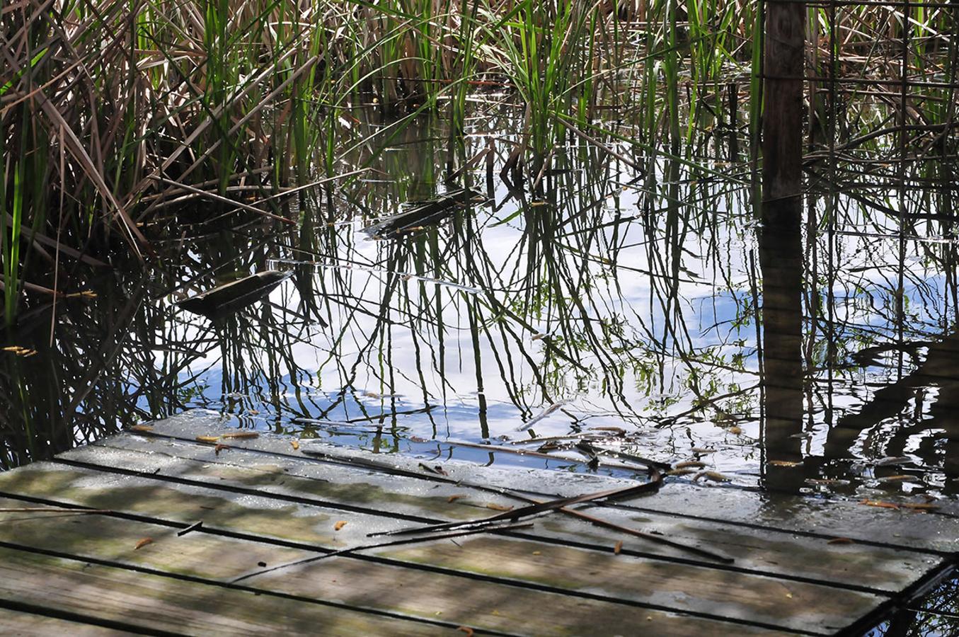 Las láminas de agua alcanzan niveles desconocidos desde hace décadas.