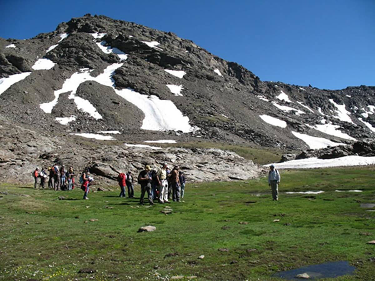 Científicos participan en estudios sobre cambio climático y proyectos en el Parque Nacional de Sierra Nevada, como el GLORIA destinado al conocimiento de la flora endñemica. 