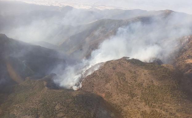 Infoca trabaja en la extinción de un incendio forestal en Felix