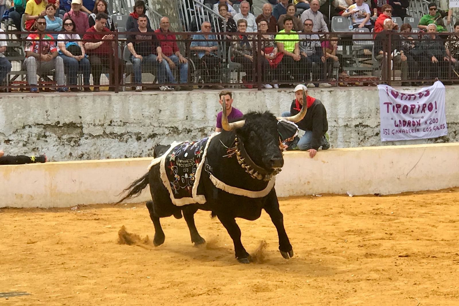 Fallece una mujer de 59 años en los 'toros ensogaos' de Beas