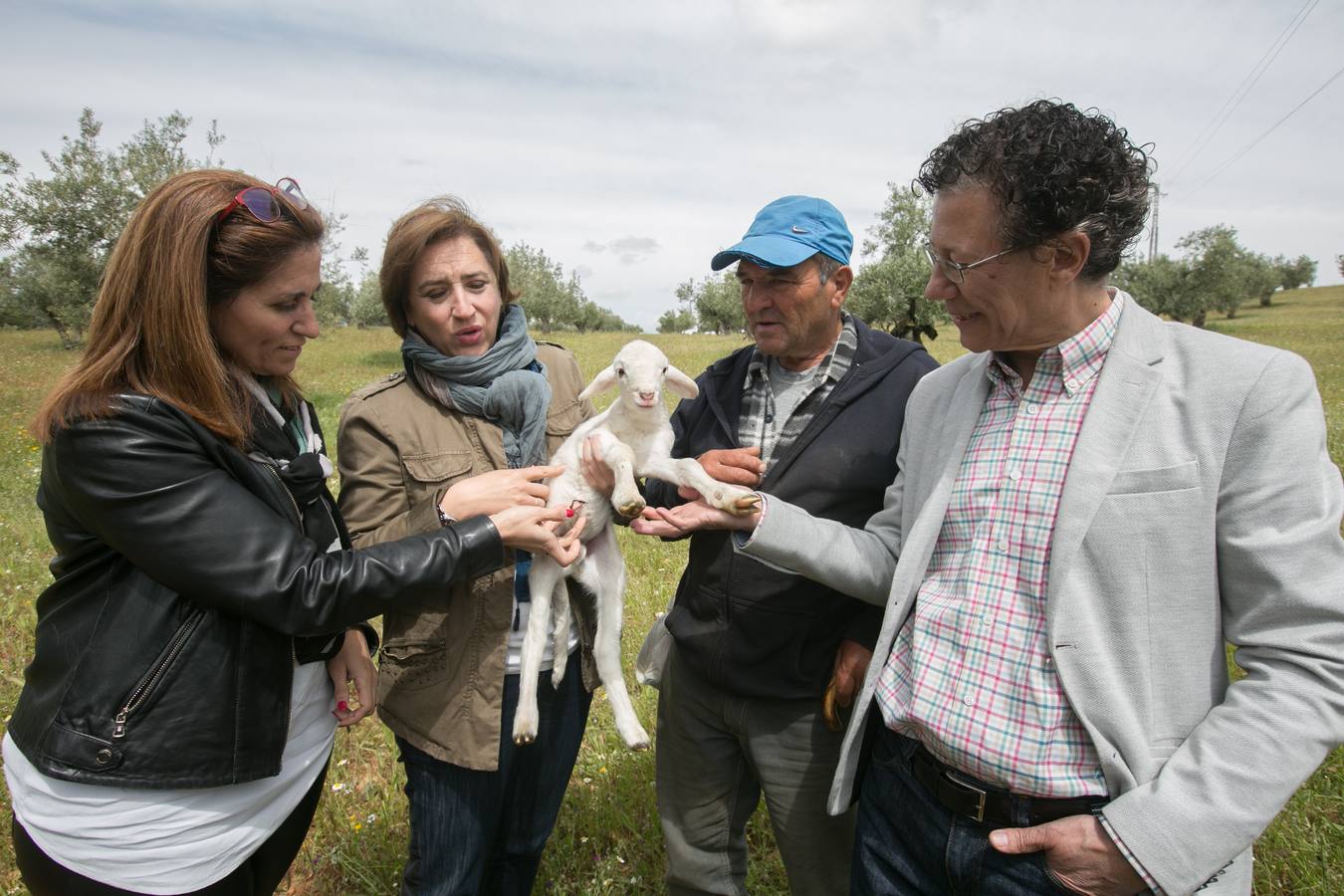 En el Generalife se encuentra la Puerta de los Carneros, donde se ubicaba el ganado del sultán. La idea que busca transmitir la Junta es que la Alhambra «no es solo cultura, patrimonio, arte o turismo –razona Reynaldo Fernández–, también es campo, agricultura y ganadería»