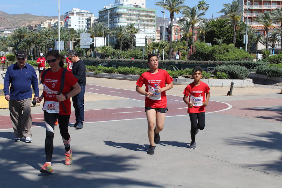 Centenares de personas se reúnen este domingo en las calles de la ciudad