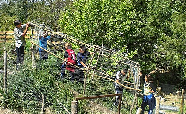 Alumnos del Aula de Naturaleza Valparaíso preparan una estructura en las laderas del centro