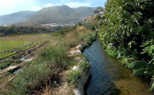 Diez espacios naturales de Granada para disfrutar de las flores de agua