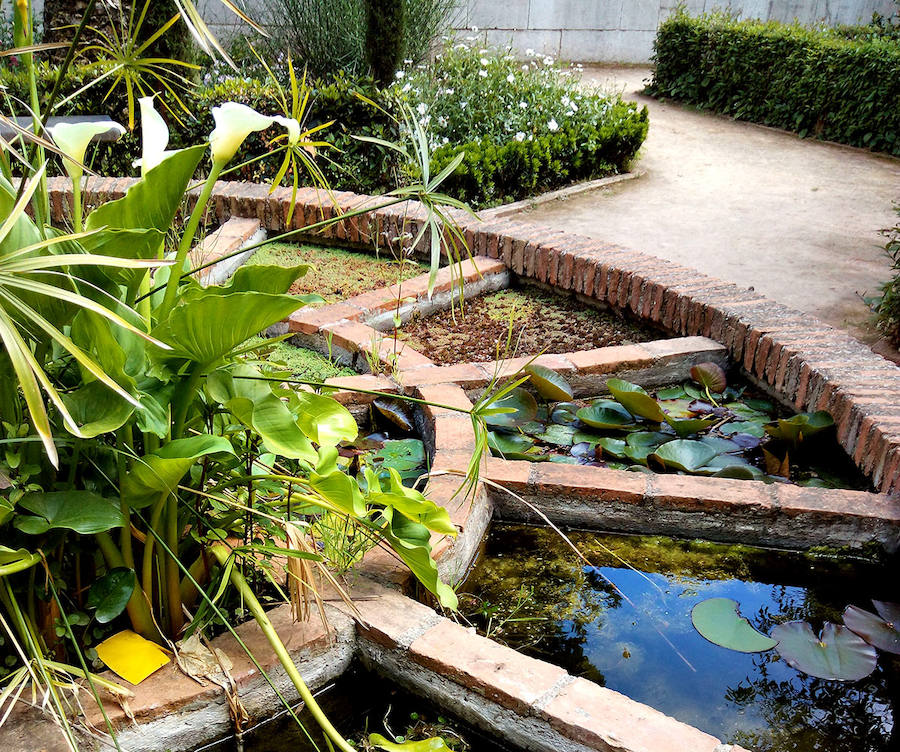 En el Jardín Botánico de Granada un espacio reproduce los ecosistemas acuáticos con su flora asociada.
