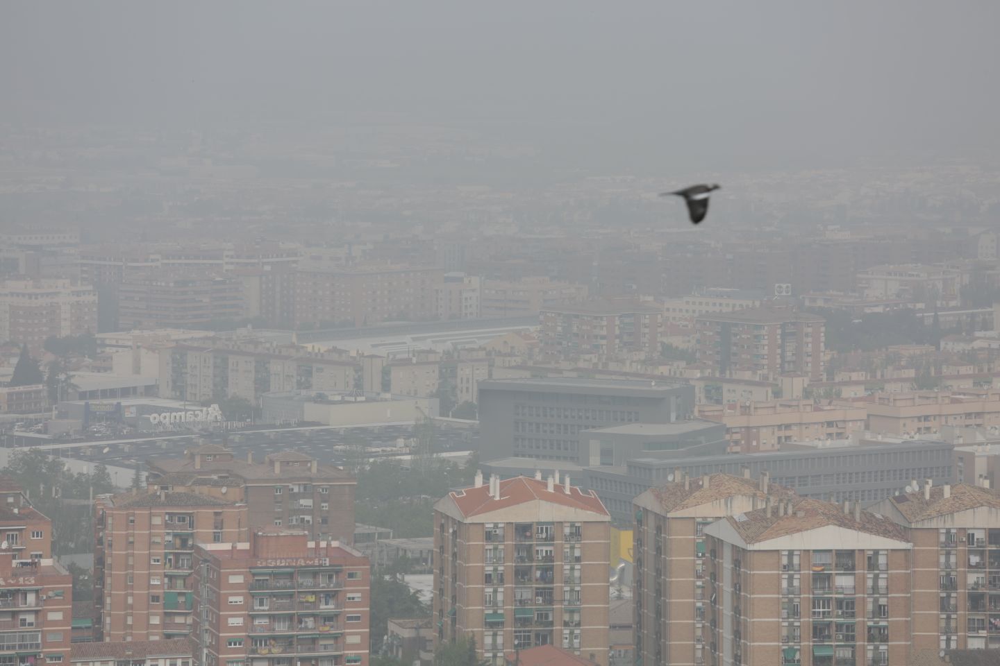 Tras las tormentas de los últimos días, es ahora la niebla la que ocupa el cielo sobre la capital