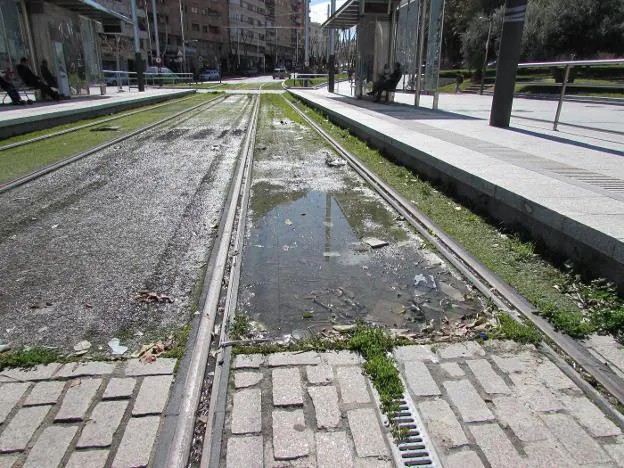 Agua estancada en el deteriorado césped artificial del tranvía de Jaén, en la parada junto a Renfe.