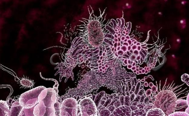 La OCU alerta de las bacterias que «matarán a más de 35.000 personas» y pide medidas