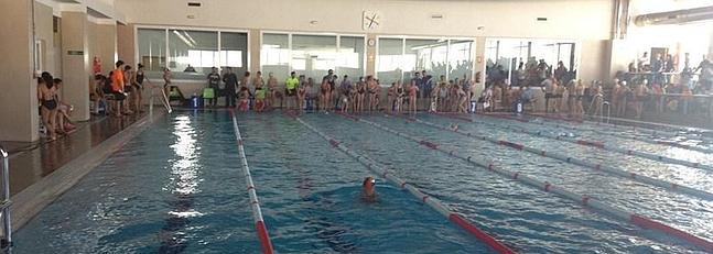 El trofeo de natación Ciudad de Berja convoca hoy a más de 300 nadadores