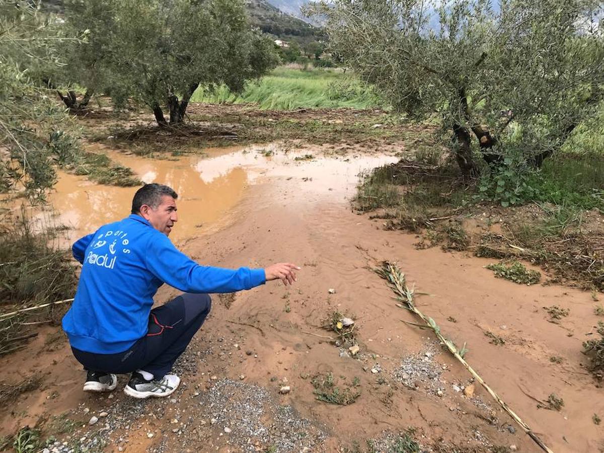 La Rambla de los Alcarceles se anegó y también el Camino de los Molinos, que fue cortado al tráfico para evitar problemas con el paso de los vehículos